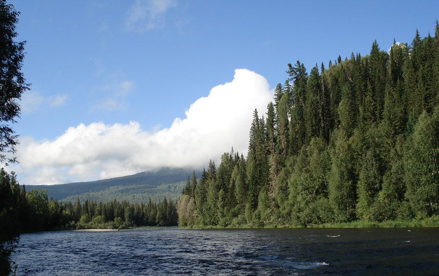Благодаря проекту в режиме онлайн можно будет быстро и удобно найти необходимую информацию. Фото Unsplash