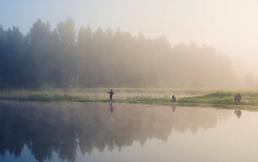С его помощью каждый сможет открыть для себя разнообразие страны. Фото Unsplash