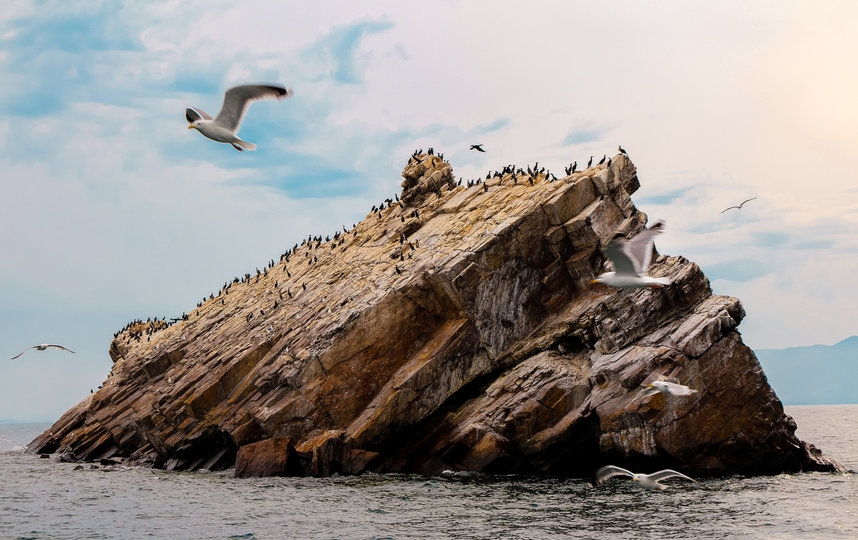 Чат-бот представляет собой digital-проводника по 10 уголкам России. Фото Unsplash