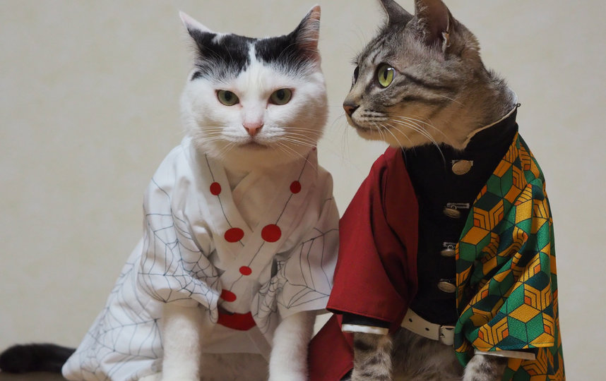 Всю работу, начиная от создания костюмов до снимков, косплеер делает сам. Фото YagyouNEKO | Twitter