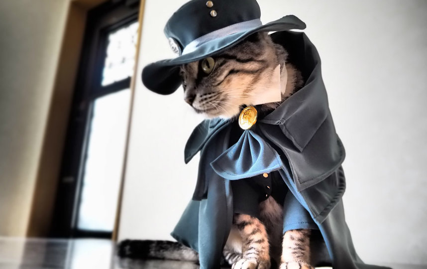 Всю работу, начиная от создания костюмов до снимков, косплеер делает сам. Фото YagyouNEKO | Twitter