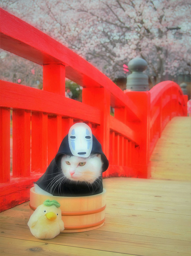 В основном Yagyou превращает своих питомцев в героев аниме. Фото YagyouNEKO | Twitter