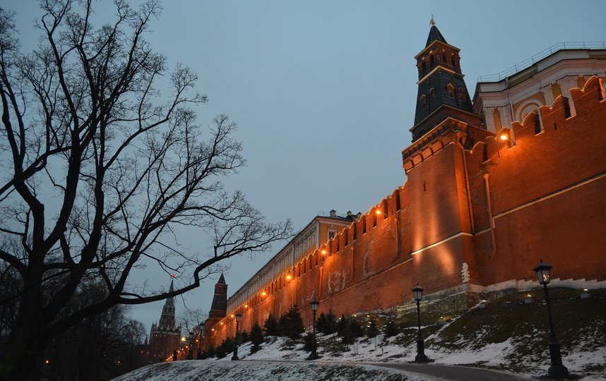 Зима пока не радует москвичей снегом. Фото pixabay.com