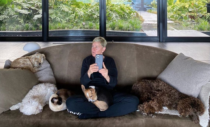 Эллен Дедженерес. Фото https://www.instagram.com/theellenshow/, "Metro"