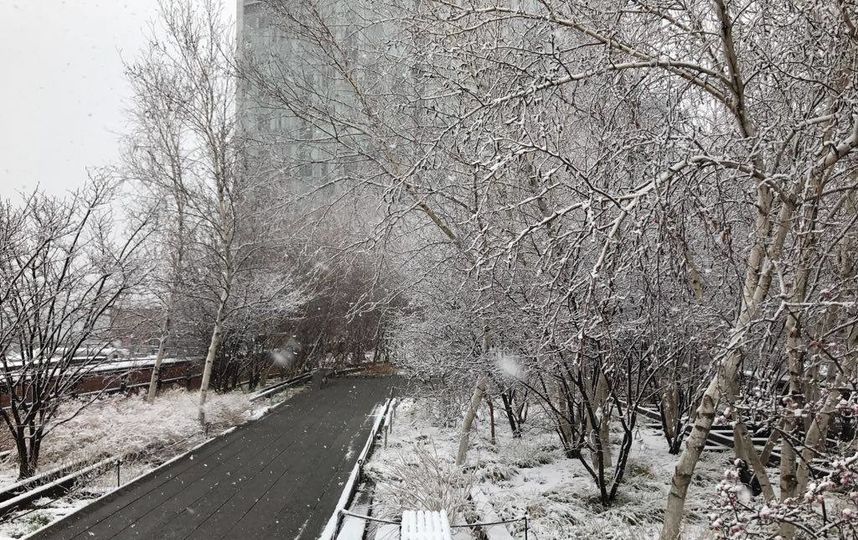 Хайлайн. Фото Getty