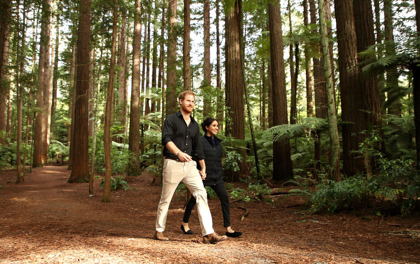 Принц Гарри и Меган Маркл. Фото Getty