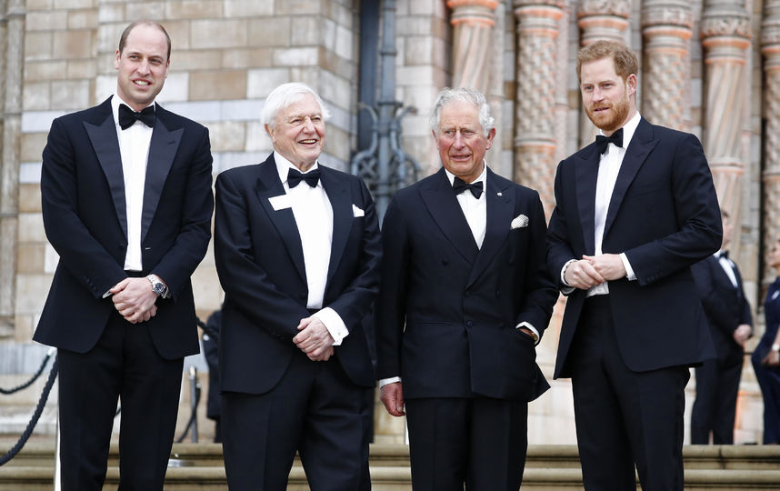 Три принца и без жён: Чарльз с Гарри и Уильямом сходили на премьеру нового сериала (фото)