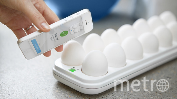 Quirky Egg. Фото "Metro"