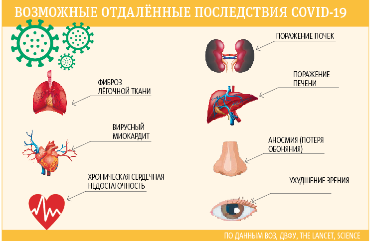 Инфографика. Фото "Metro"
