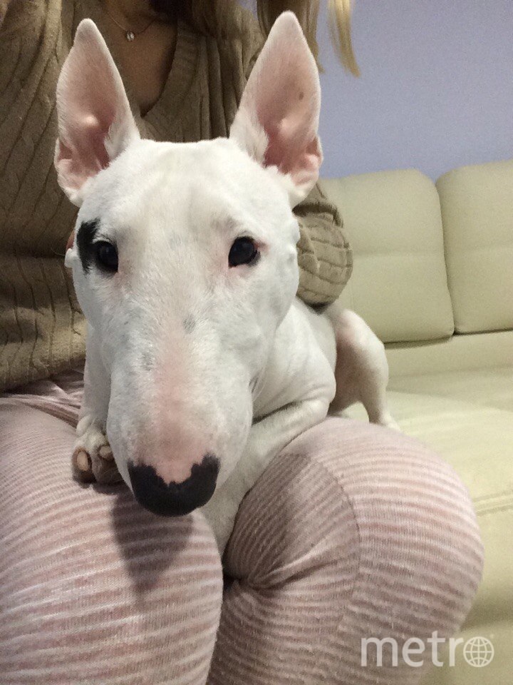 Гарри. Фото "Metro"