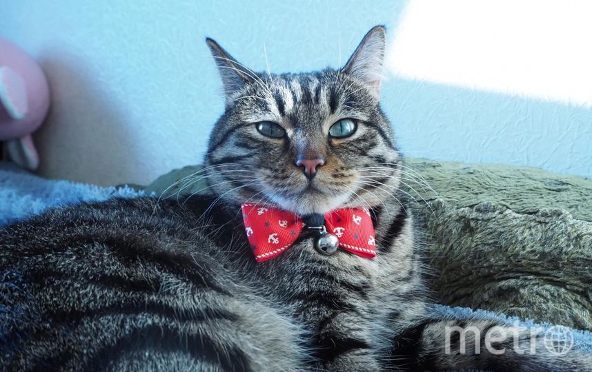 Бублик. Фото "Metro"