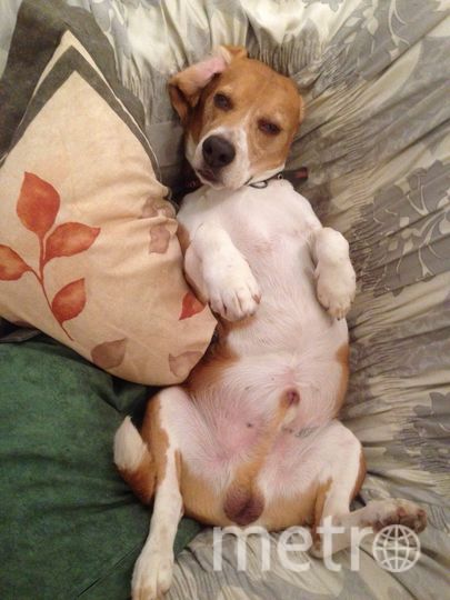 Лаки. Фото "Metro"