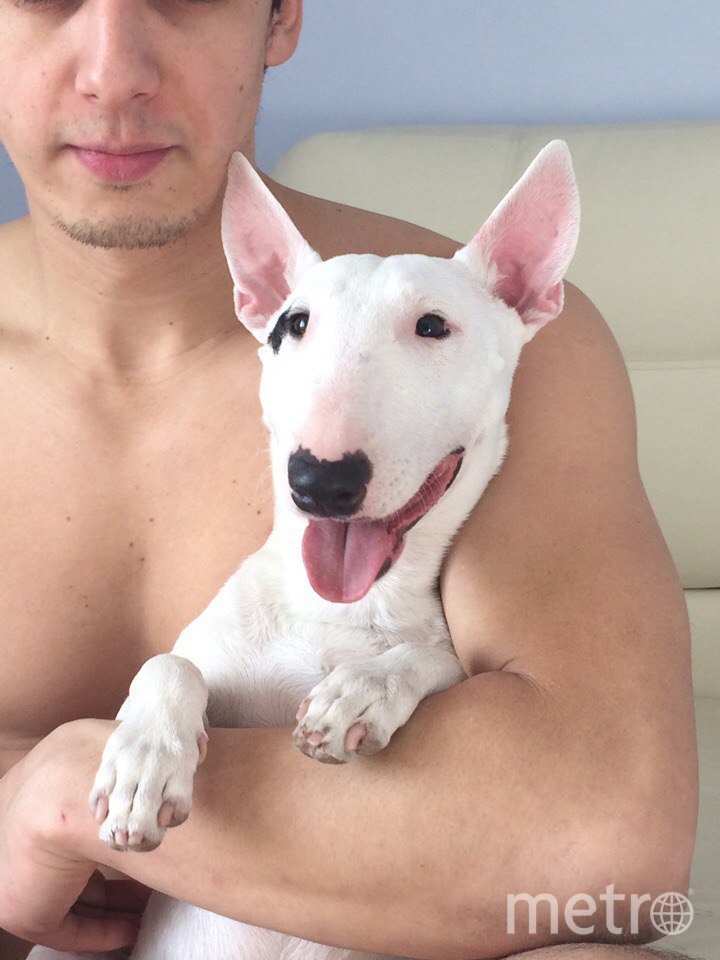 Гарри. Фото "Metro"