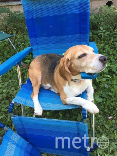 Лаки. Фото "Metro"