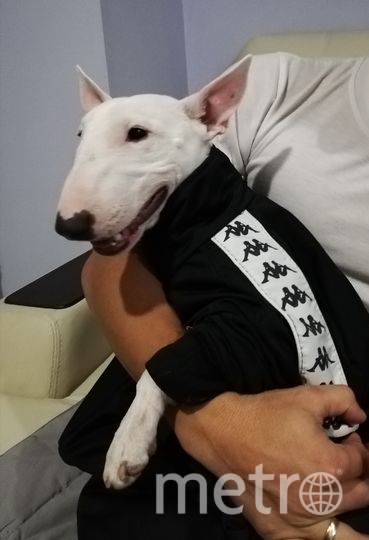 Гарри. Фото "Metro"