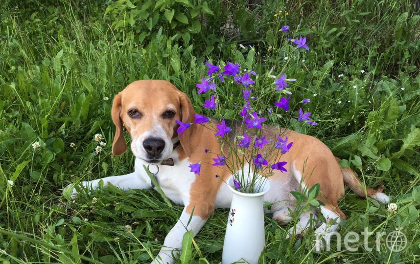 Лаки. Фото "Metro"