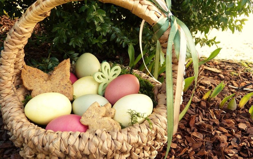 "Это будет просто бомба": эксперты рассказали, как не отравиться на Пасху