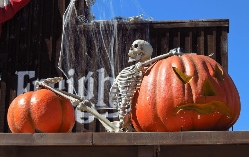 Украшение из тыкв к Хэллоуину. Фото Василий Кузьмичёнок