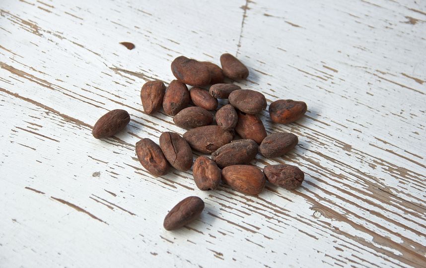 Какао-бобы. Фото Pixabay