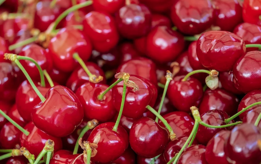 Роспотребнадзор подготовил рекомендации по правильному выбору черешни. Фото Pixabay