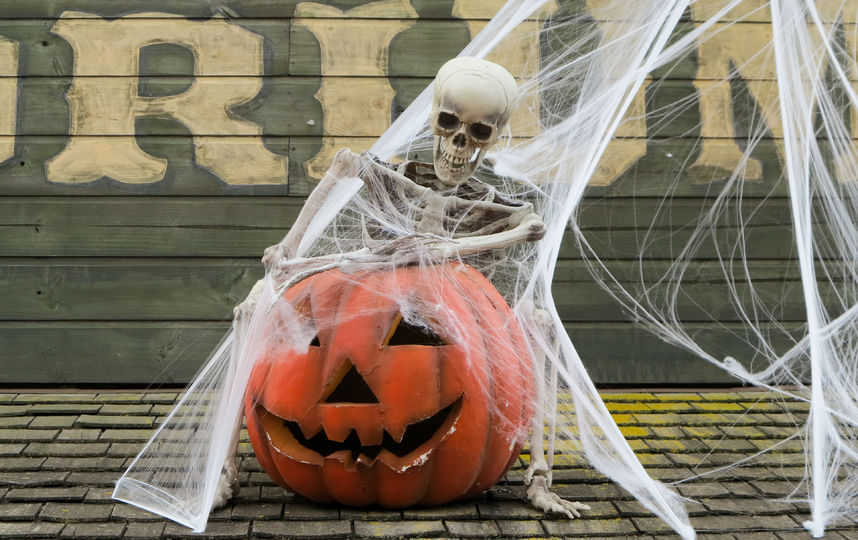 Украшение из тыкв к Хэллоуину. Фото Василий Кузьмичёнок