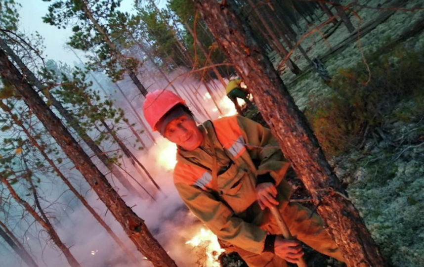 Медведев собирает предложения по созданию лесопожарного центра