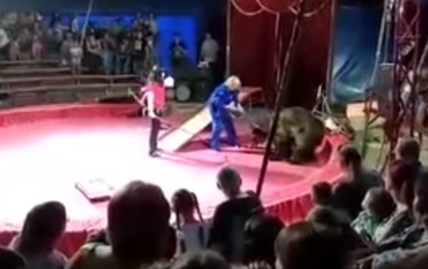 Скриншот youtube.com/watch?v=YP8P6ygVNms.