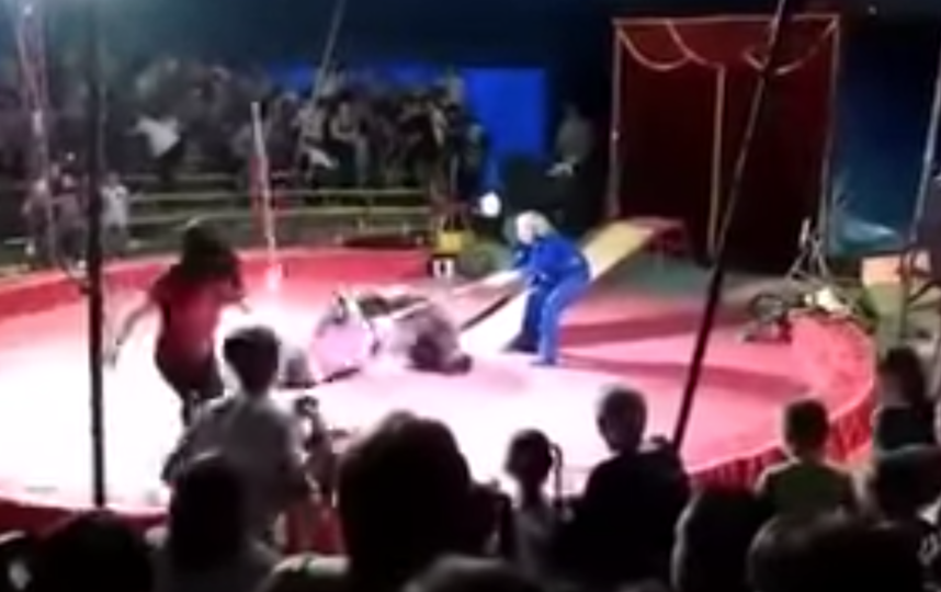 Скриншот youtube.com/watch?v=YP8P6ygVNms.