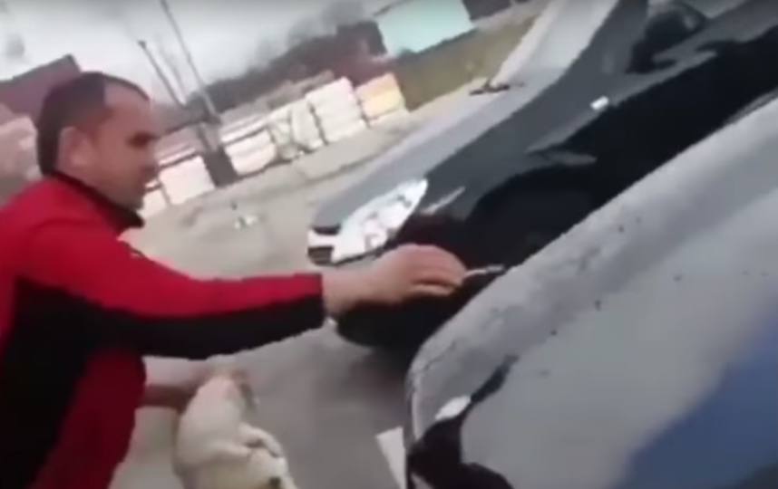 На Кубани разыскивают мужчину, помывшего свой внедорожник котом – видео