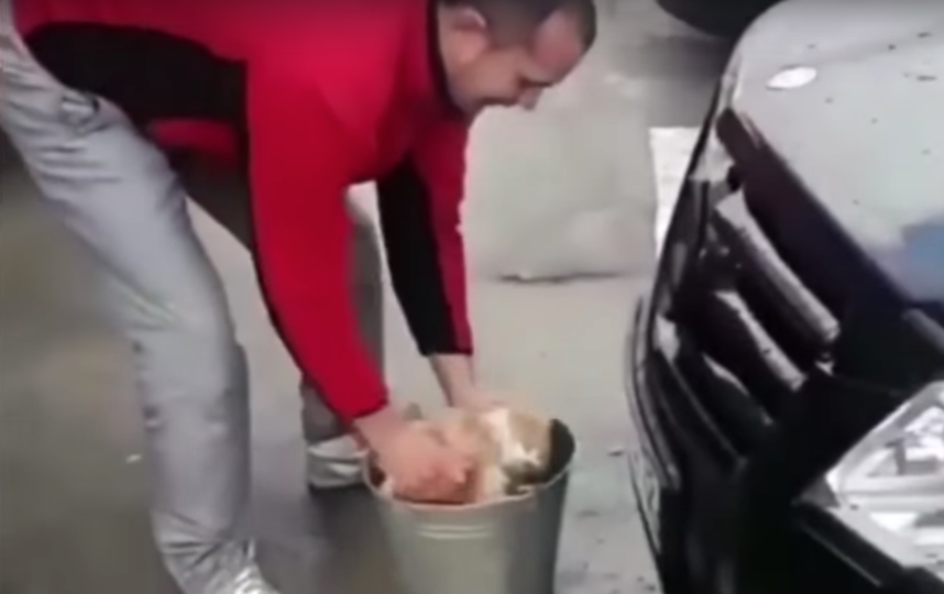 Скриншот из видео. Фото Николай Федоров, Скриншот Youtube