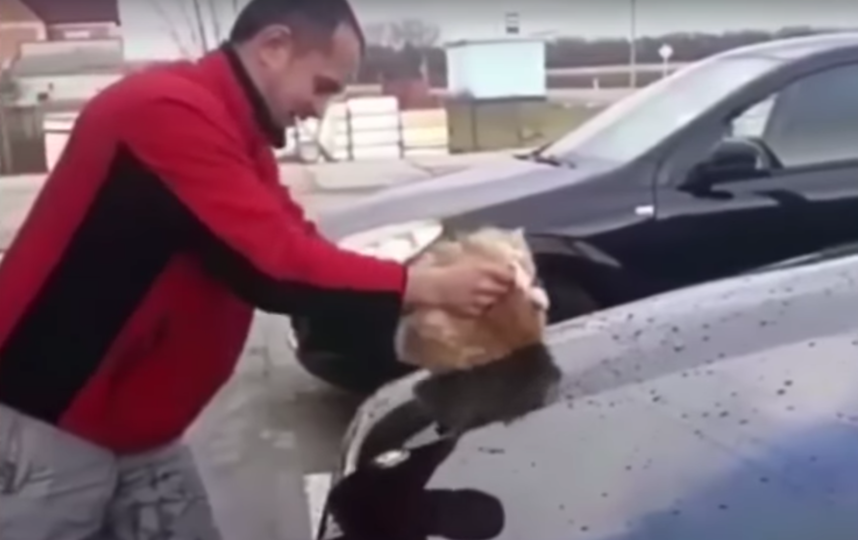 Скриншот из видео. Фото Николай Федоров, Скриншот Youtube