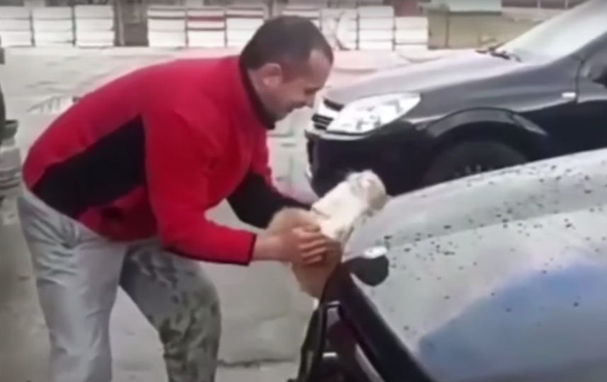 Скриншот из видео. Фото Николай Федоров, Скриншот Youtube