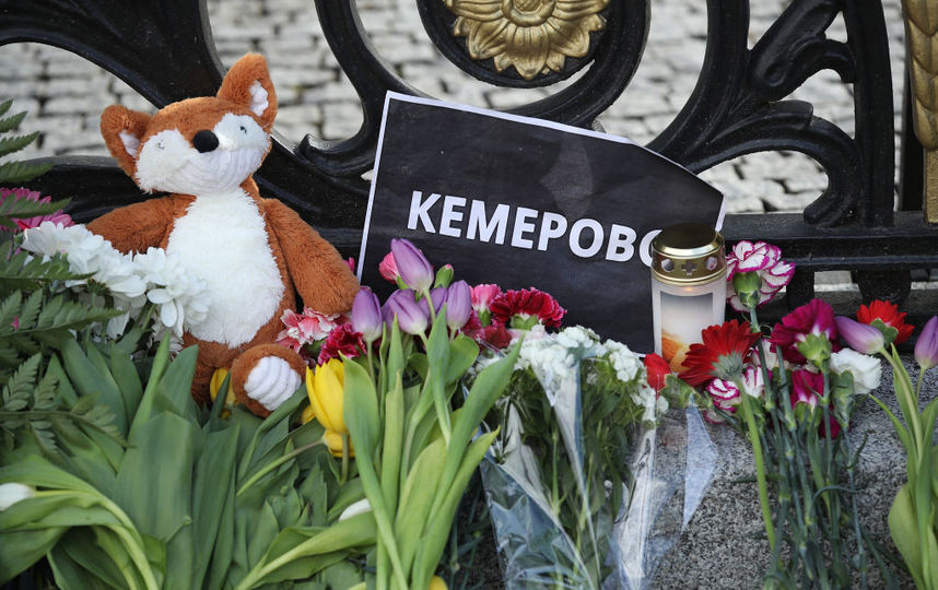 На месте "Зимней вишни" построят ротонду и высадят 60 сосен