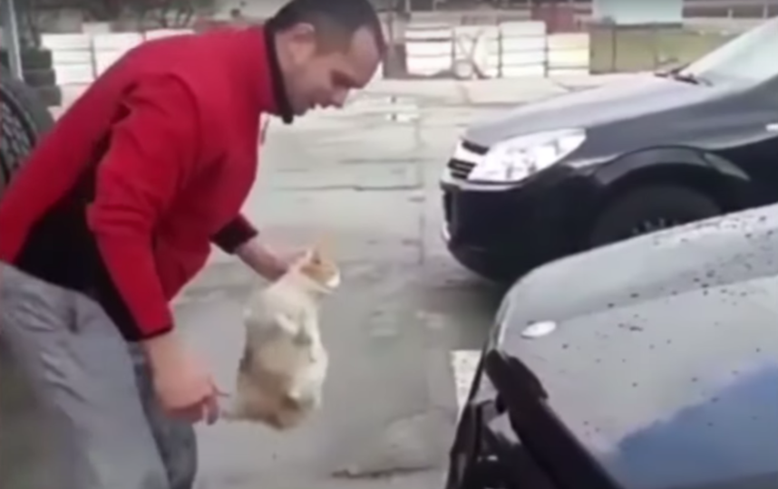 Скриншот из видео. Фото Николай Федоров, Скриншот Youtube