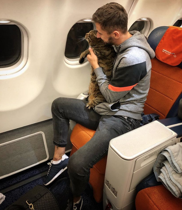 Пассажира, который провёз в ручной клади толстого кота, лишили бонусных миль