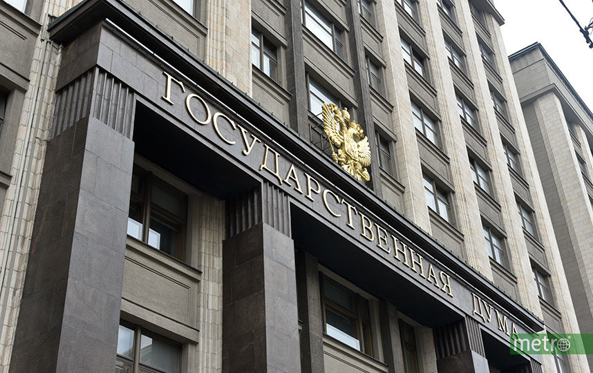 Рэпер Птаха и блогер Ларин войдут в совет по культуре при Госдуме