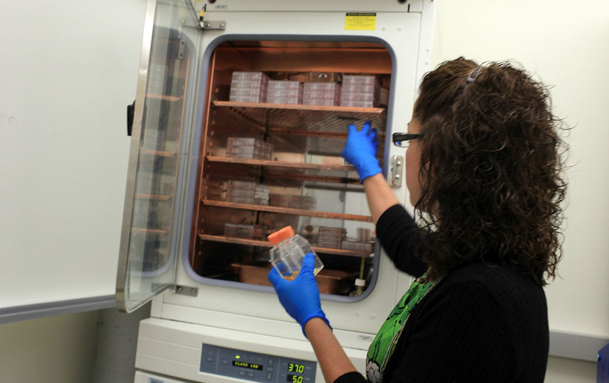 Архив. Фото Getty