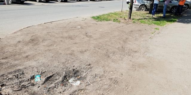 Так выглядел газон до проведения работ...