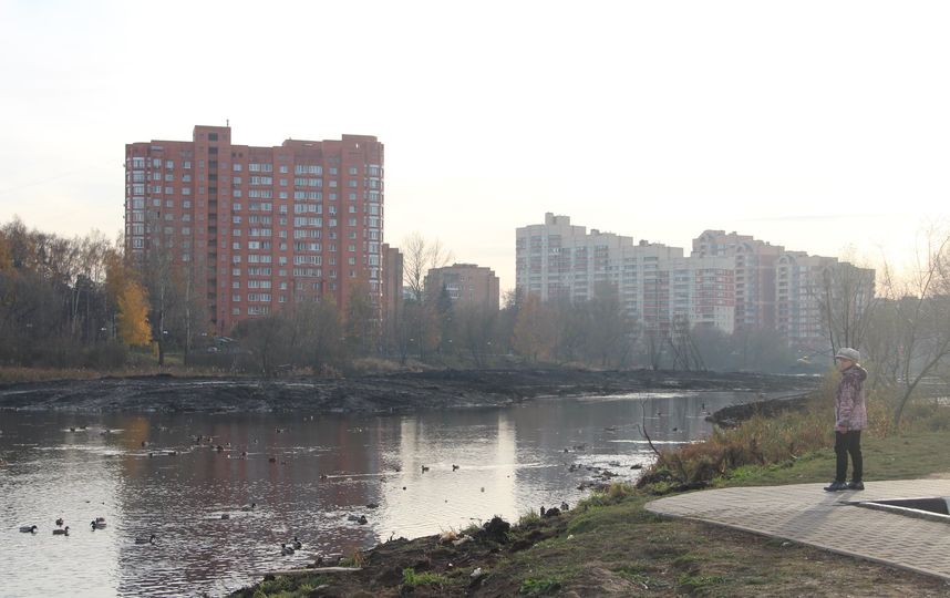 Бобры и берега реки после старта работ по благоустройству. Фото Владимир Малёшин, Министерство экологии и природопользования Московской области