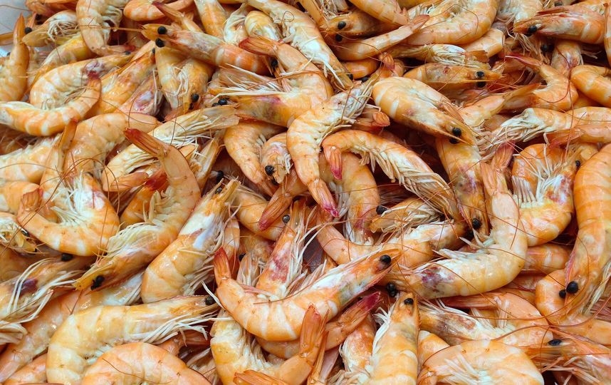 Практически все протестированные образцы порадовали экспертов хорошими вкусовыми и внешними качествами. Фото Pixabay