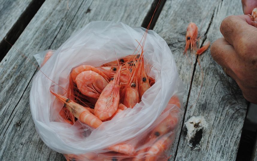 Вес продукта девяти брендов был меньше заявленного на упаковке. Фото Pixabay