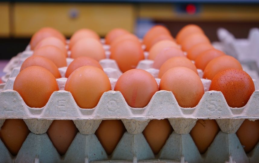 "Девяток" яиц взбудоражил россиян. Почему необычные упаковки появились на прилавках