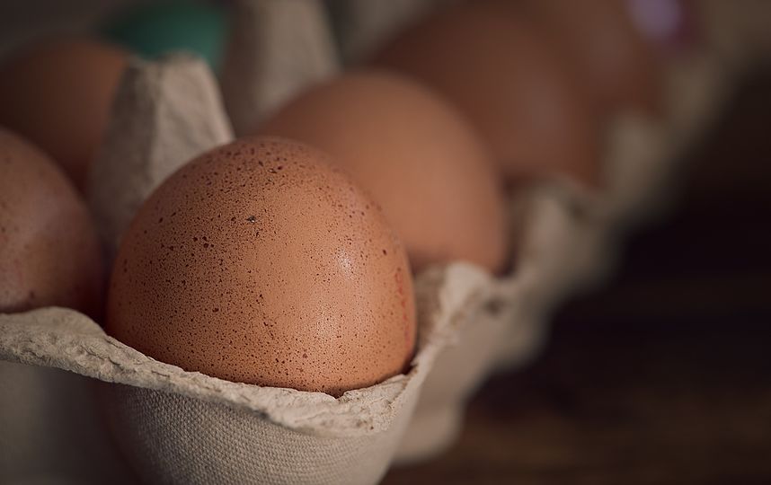 Куриные яйца. Фото https://pixabay.com/