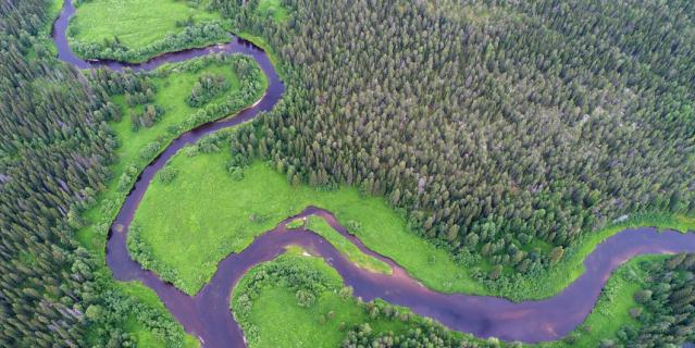 Слияние рек Юлы и Юраса в центральной части будущего заказника.