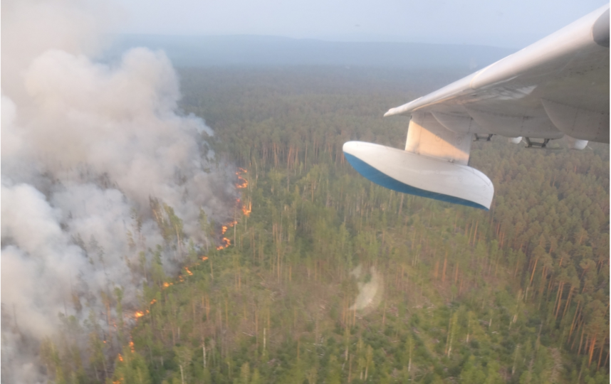 Генпрокуратура выявила случаи поджога лесов в Сибири с целью скрыть незаконные рубки