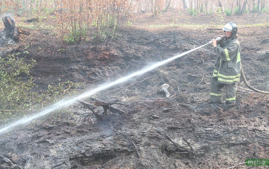 "Город в смоге, солнца не видно": жители Сибири рассказали о последствиях лесных пожаров