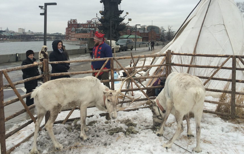 Парк "Музеон". Фото Зинаида Мишина., "Metro"