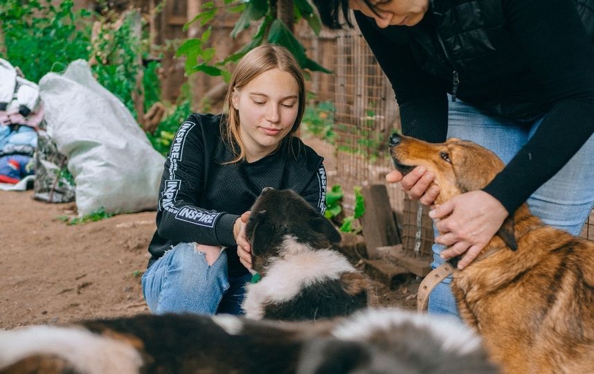 Костромская школьница отдаёт алименты в фонд помощи животным