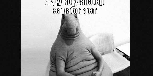 Мемчик.