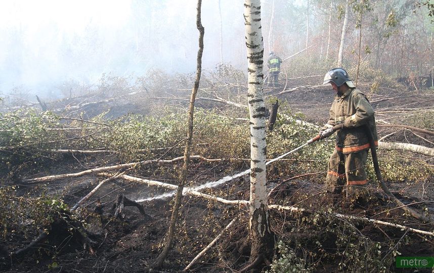 Пожарные не допускают подход огня к населённым пунктам. Фото Василий Кузьмичёнок